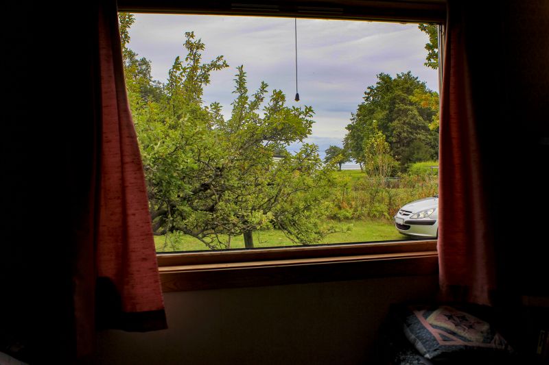 Best Window Replacement Contractors in Apopka, FL